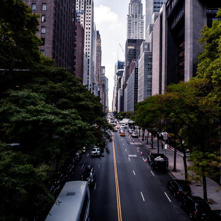 Sophia Williams - Expat family life guide in United States